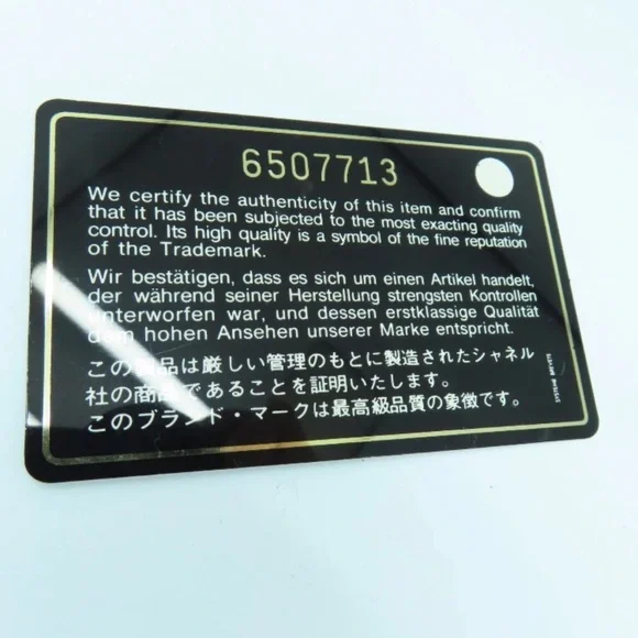 CHANEL CROSSBODY WOC - Picture 9 of 16